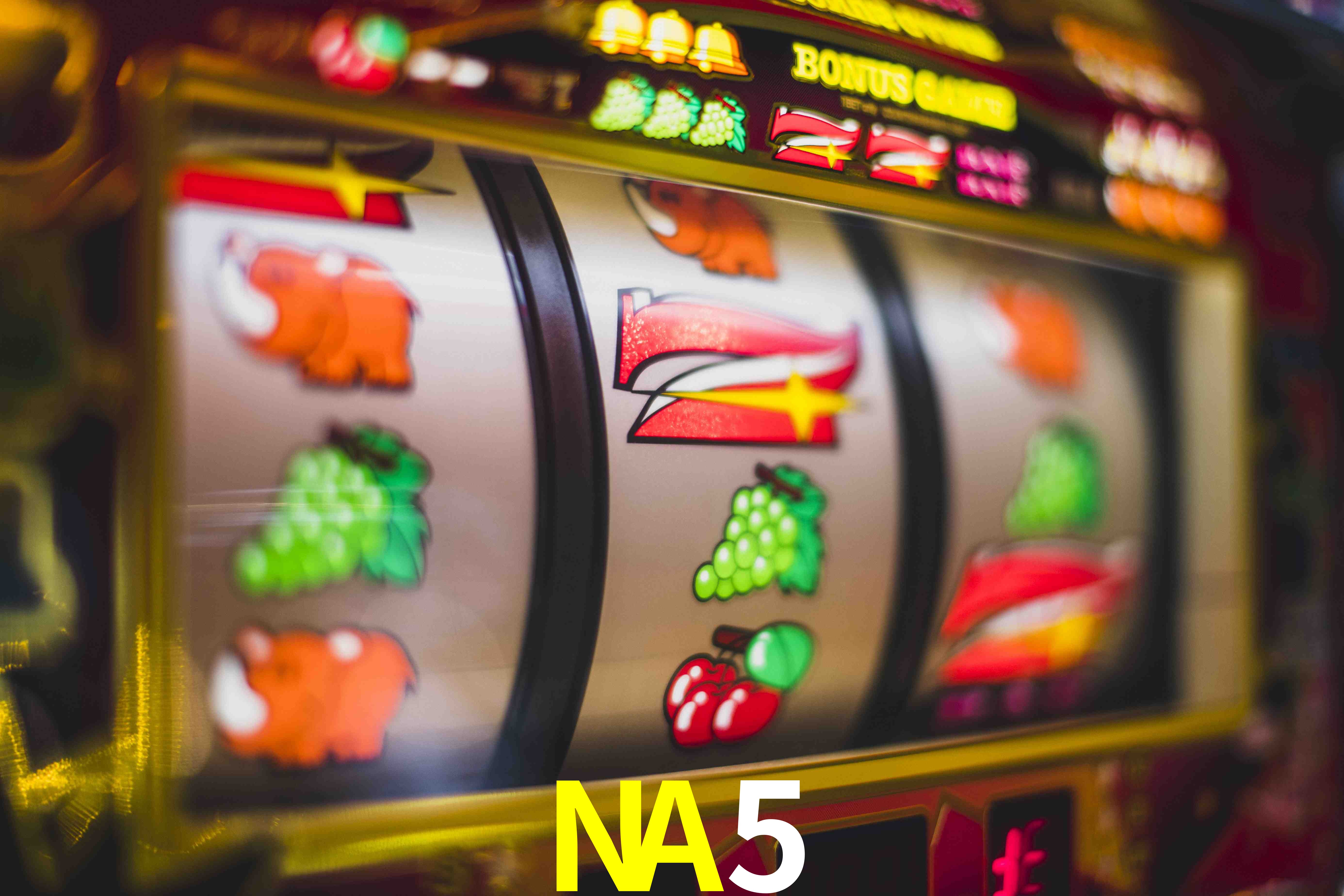 NA5 公平游戏
